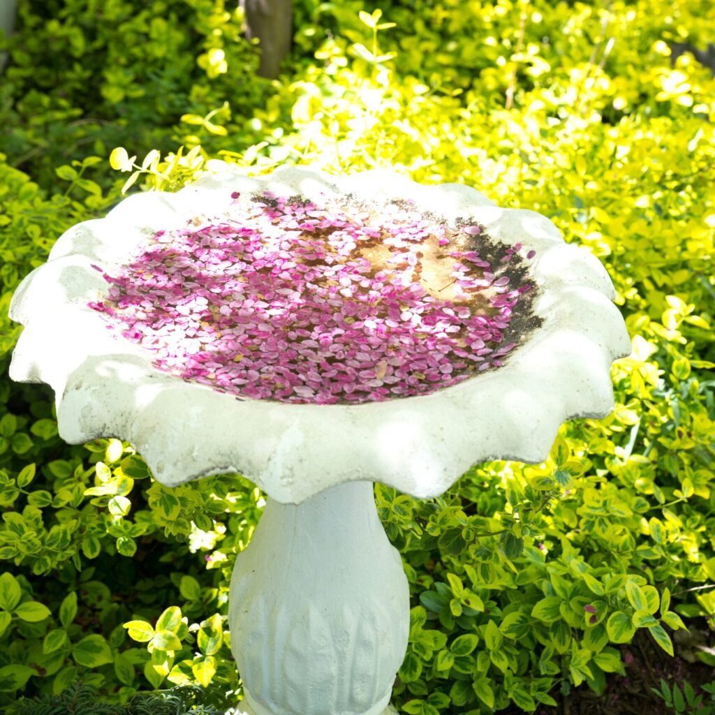 cynthia winward i0dossgccmi unsplash